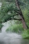 Picture of USA-MINNESOTA-ITASCA STATE PARK-MISSISSIPPI HEADWATERS