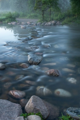 Picture of USA-MINNESOTA-ITASCA STATE PARK-MISSISSIPPI HEADWATERS