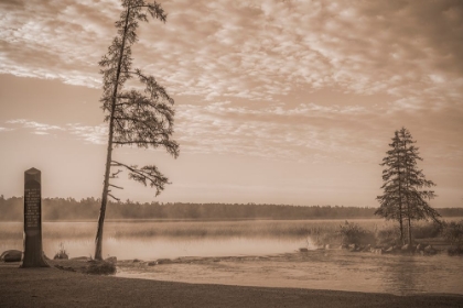 Picture of USA-MINNESOTA-ITASCA STATE PARK-MISSISSIPPI HEADWATERS