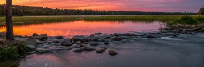Picture of USA-MINNESOTA-ITASCA STATE PARK-MISSISSIPPI HEADWATERS