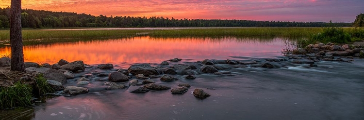 Picture of USA-MINNESOTA-ITASCA STATE PARK-MISSISSIPPI HEADWATERS