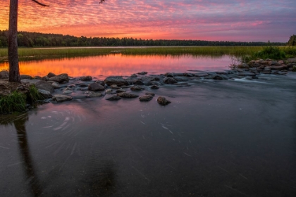 Picture of USA-MINNESOTA-ITASCA STATE PARK-MISSISSIPPI HEADWATERS