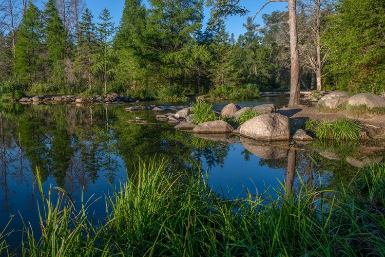 Picture of USA-MINNESOTA-ITASCA STATE PARK-MISSISSIPPI HEADWATERS