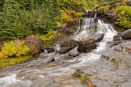 Picture of USA-MONTANA-GLACIER NATIONAL PARK LUNCH CREEK CASCADES SCENIC