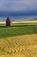 Picture of OLD WOODEN GRANARY IN COLLINS-MONTANA-USA