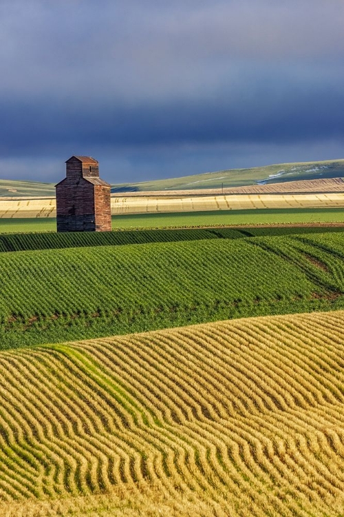 Picture of OLD WOODEN GRANARY IN COLLINS-MONTANA-USA