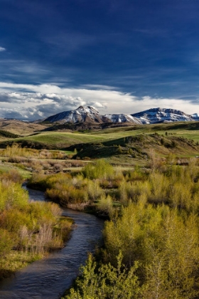 Picture of ELK CREEK WITH FRESH SNOW ON STEAMBOAT MOUNTAIN ALONG THE ROCKY MOUNTAIN FRONT NEAR AUGUSTA-MONTANA