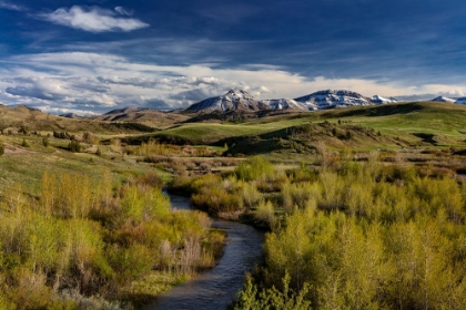 Picture of ELK CREEK WITH FRESH SNOW ON STEAMBOAT MOUNTAIN ALONG THE ROCKY MOUNTAIN FRONT NEAR AUGUSTA-MONTANA