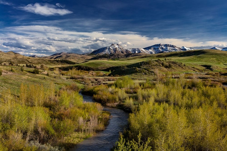 Picture of ELK CREEK WITH FRESH SNOW ON STEAMBOAT MOUNTAIN ALONG THE ROCKY MOUNTAIN FRONT NEAR AUGUSTA-MONTANA