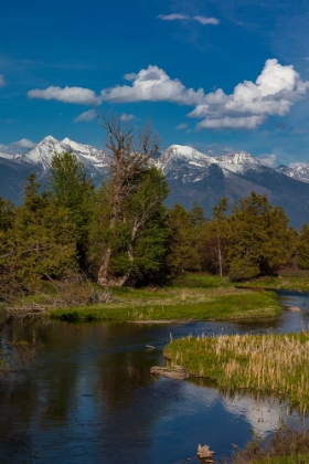 Picture of MISSION CREEK AT THE NATIONAL BISON RANGE IN MOIESE-MONTANA-USA