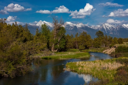 Picture of MISSION CREEK AT THE NATIONAL BISON RANGE IN MOIESE-MONTANA-USA