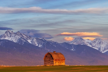 Picture of RUSTIC OLD BARN IN EVENING LIGHT WITH MISSION MOUNTAINS IN PABLO-MONTANA-USA