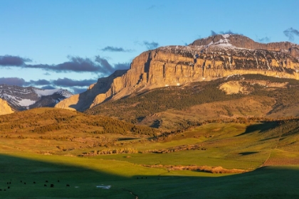 Picture of CATTLE PASTURES BELOW WALLING REEF AT SUNRISE NEAR DUPUYER-MONTANA-USA