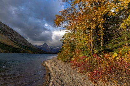 Picture of COSLEY LAKE IN AUTUMN-GLACIER NATIONAL PARK-MONTANA-USA