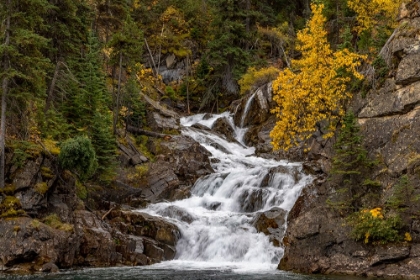 Picture of GROS VENTRE FALLS IN AUTUMN-GLACIER NATIONAL PARK-MONTANA-USA
