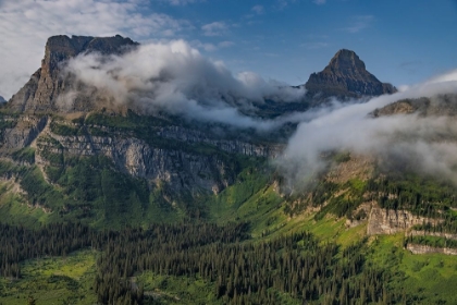 Picture of ROLLING FOG CLOUDS WITH HEAVY RUNNER AND REYNOLD MOUNTAINS AT LOGAN PASS IN GLACIER NATIONAL PARK