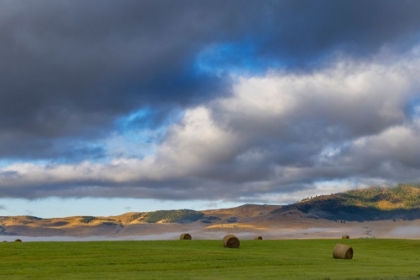 Picture of HAY BALES IN CLEARING FOG WITH SALISH MOUNTAINS IN LAKE COUNTY-MONTANA-USA