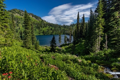 Picture of WILDCAT LAKE IN THE JEWEL BASIN HIKING AREA OF FLATHEAD NATIONAL FOREST-MONTANA-USA