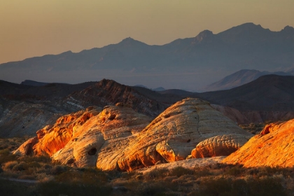 Picture of LAST LIGHT ON RED SANDSTONE OR AZTEC SANDSTONE-VALLEY OF FIRE-NEVADA