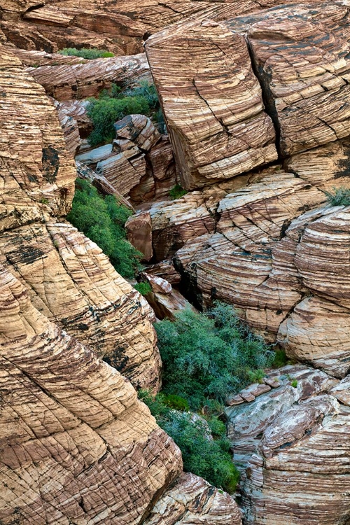 Picture of VALLEY OF FIRE-NEVADA