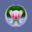 Picture of SINGLE TULIP-LAS VEGAS-NEVADA