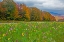 Picture of USA-NEW HAMPSHIRE-WHITE MOUNTAINS IN BACKGROUND WITH MERIDIAN PLANTED WITH FLOWERS ALONG INTERSTATE