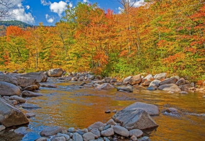 Picture of USA-NEW HAMPSHIRE-WHITE MOUNTAINS NATIONAL FOREST AND SWIFT RIVER ALONG HIGHWAY 112 IN AUTUMN FROM 