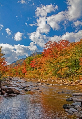 Picture of USA-NEW HAMPSHIRE-WHITE MOUNTAINS NATIONAL FOREST AND SWIFT RIVER ALONG HIGHWAY 112 IN AUTUMN FROM 