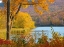 Picture of USA-NEW HAMPSHIRE-FRANCONIA-SMALL LAKE SURROUNDED BY FALL COLOR OF MAPLE-WHITE BIRCH-AND AMERICAN B