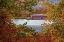 Picture of USA-NEW HAMPSHIRE-GORHAM-FALL COLORED TREES FRAMING ANDROSCOGGIN RIVER NEAR DAMN SITE