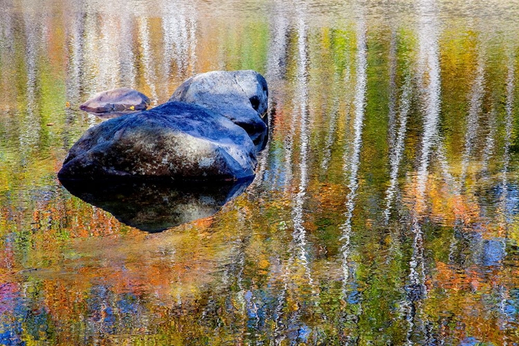 Picture of USA-NEW HAMPSHIRE-GORHAM AUTUMN COLORS REFLECTED IN SMALL POND