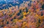 Picture of USA-NEW HAMPSHIRE-NEW ENGLAND FALL COLORS ON HILLSIDES ALONG HIGHWAY 16 NORTH OF JACKSON