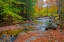 Picture of USA-NEW HAMPSHIRE-NEW ENGLAND-JACKSON SMALL STREAM SURROUNDED IN FALL COLOR