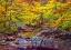 Picture of USA-NEW HAMPSHIRE-NEW ENGLAND-JACKSON SMALL STREAM SURROUNDED IN FALL COLOR