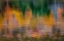 Picture of USA-NEW HAMPSHIRE-NEW ENGLAND FALL COLORS REFLECTED IN THE WATERS OF THE SACO RIVER CRAWFORD NOTCH 