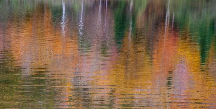 Picture of USA-NEW HAMPSHIRE-NEW ENGLAND FALL COLORS REFLECTED IN THE WATERS OF THE SACO RIVER CRAWFORD NOTCH 