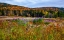 Picture of USA-NEW HAMPSHIRE-NEW ENGLAND FIELD OFF OF HIGHWAY 302 WITH AUTUMN DAISIES AND HILLSIDE BACKDROP WI