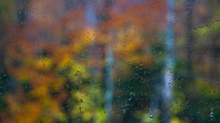 Picture of USA-NEW HAMPSHIRE-SUGAR HILL LOOKING THROUGH WINDSHIELD ON RAINY DAY WITH HARDWOOD TREES IN AUTUMN 