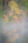 Picture of USA-NEW JERSEY-PINE BARRENS NATIONAL PRESERVE FOGGY FOREST AND LAKE LANDSCAPE
