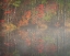 Picture of USA-NEW JERSEY-PINE BARRENS NATIONAL PRESERVE FOGGY FOREST AND LAKE LANDSCAPE