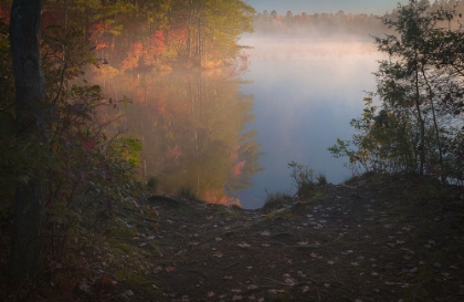 Picture of USA-NEW JERSEY-PINE BARRENS NATIONAL PRESERVE FOGGY FOREST AND LAKE LANDSCAPE