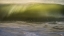 Picture of USA-NEW JERSEY-CAPE MAY NATIONAL SEASHORE