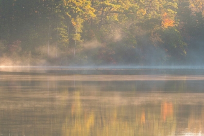 Picture of USA-NEW JERSEY-PINE BARRENS NATIONAL PRESERVE FOGGY FOREST AND LAKE LANDSCAPE