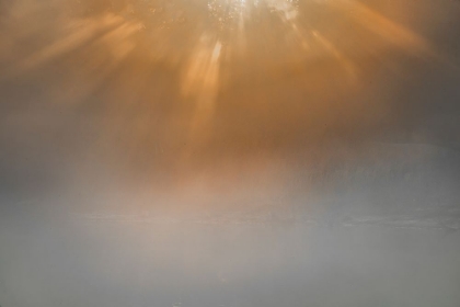 Picture of USA-NEW JERSEY-CAPE MAY NATIONAL SEASHORE SUNRISE BEAMS ON FOGGY OCEAN