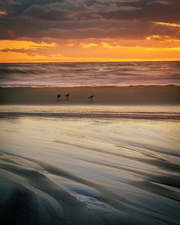 Picture of USA-NEW JERSEY-CAPE MAY NATIONAL SEASHORE CLOUDY SUNSET ON SEASHORE