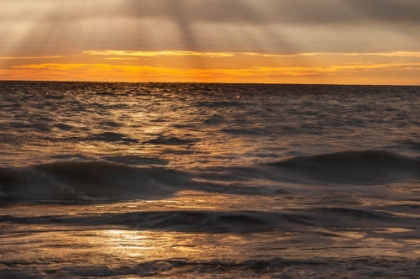 Picture of USA-NEW JERSEY-CAPE MAY NATIONAL SEASHORE SUNSET ON OCEAN SHORE