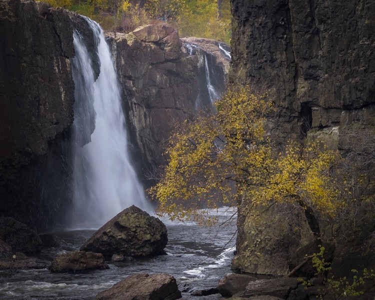 Picture of USA-NEW JERSEY-GREAT FALLS STATE PARK WATERFALL AND TREE IN AUTUMN