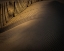 Picture of USA-NEW JERSEY-CAPE MAY NATIONAL SEASHORE FENCE SHADOW PATTERNS IN SAND