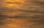 Picture of USA-NEW JERSEY-CAPE MAY NATIONAL SEASHORE OCEAN REFLECTIONS AT SUNSET