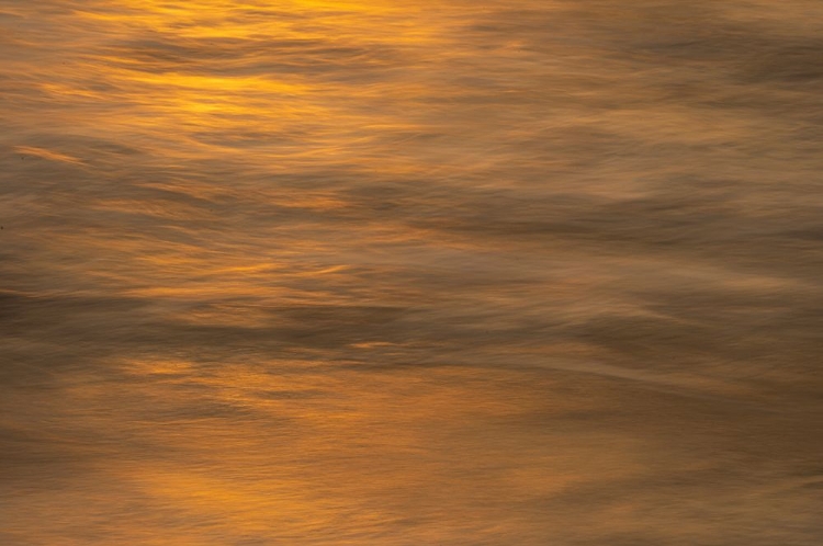 Picture of USA-NEW JERSEY-CAPE MAY NATIONAL SEASHORE OCEAN REFLECTIONS AT SUNSET